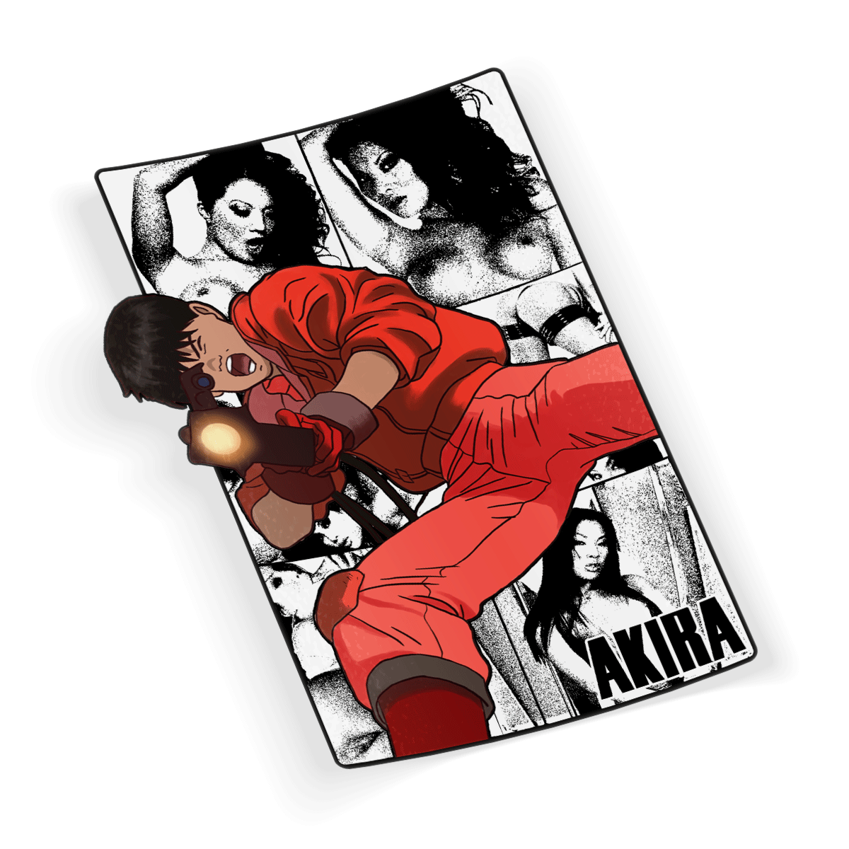 HOUSE OF THE RISING SUN - STICKER